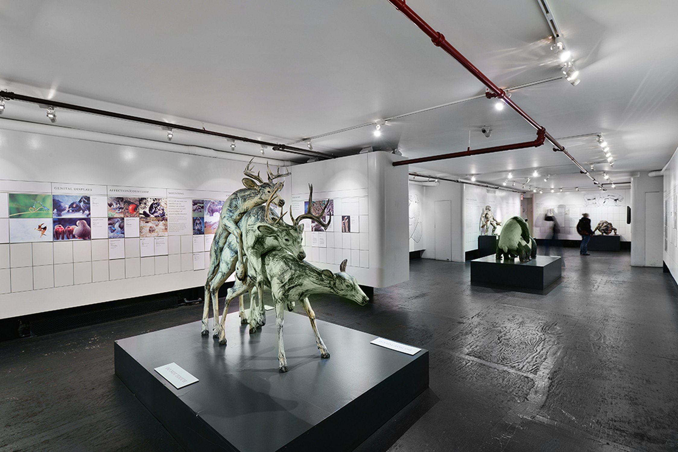 Museum of Sex - Photo 1