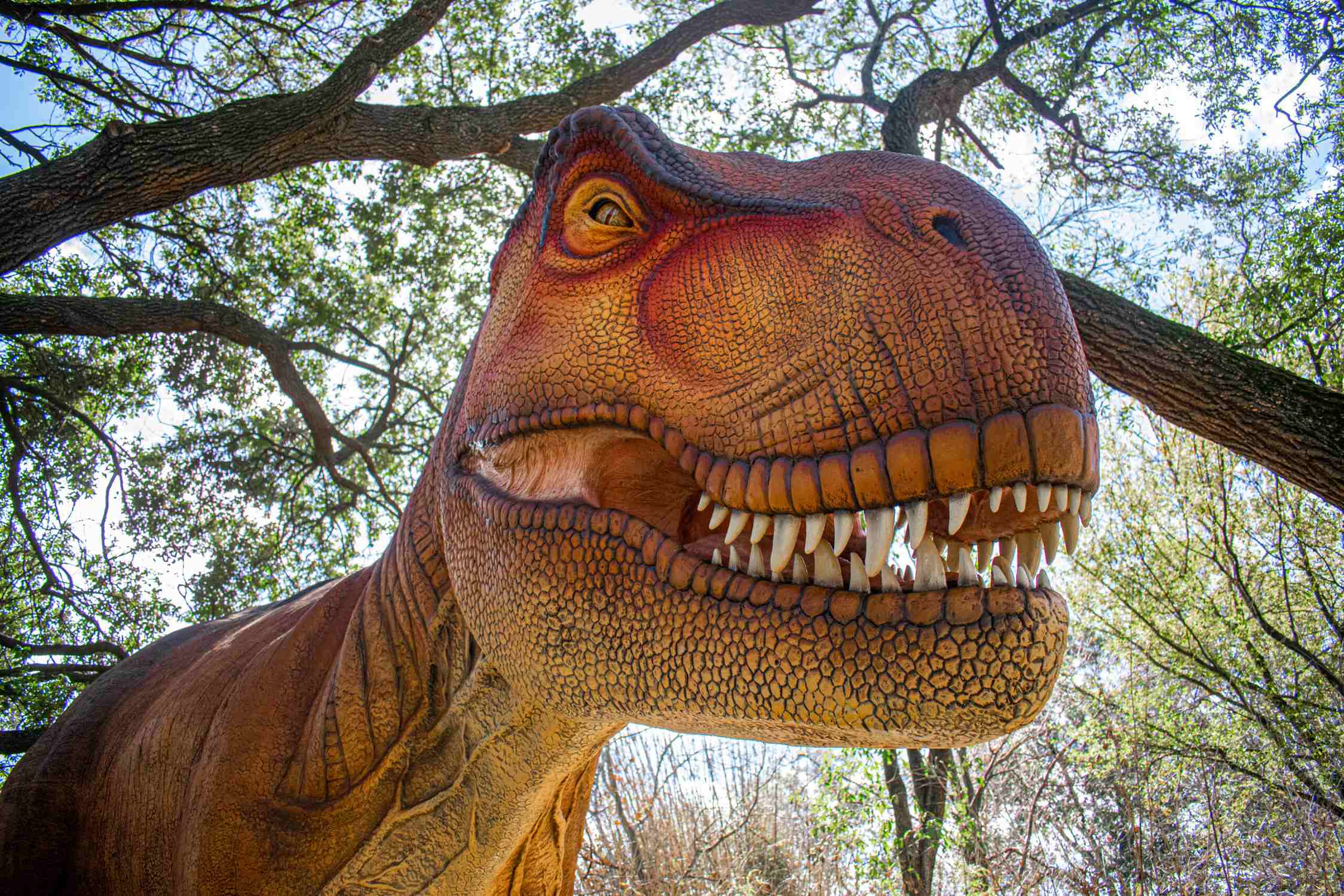 Dinosaurs at the Houston Zoo - Photo 1