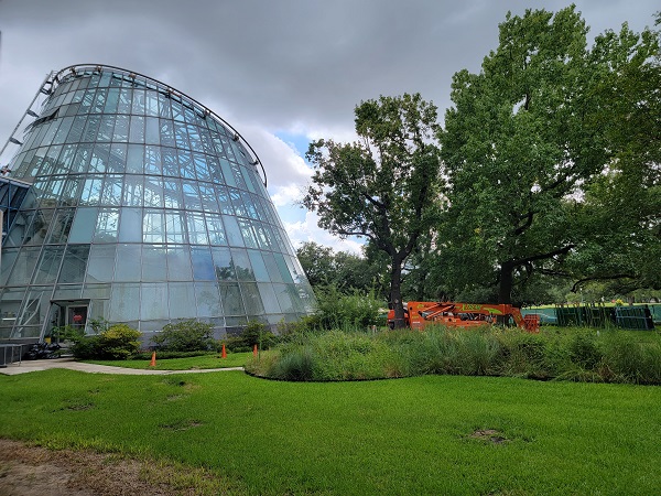 Cockrell Butterfly Center - Photo 1
