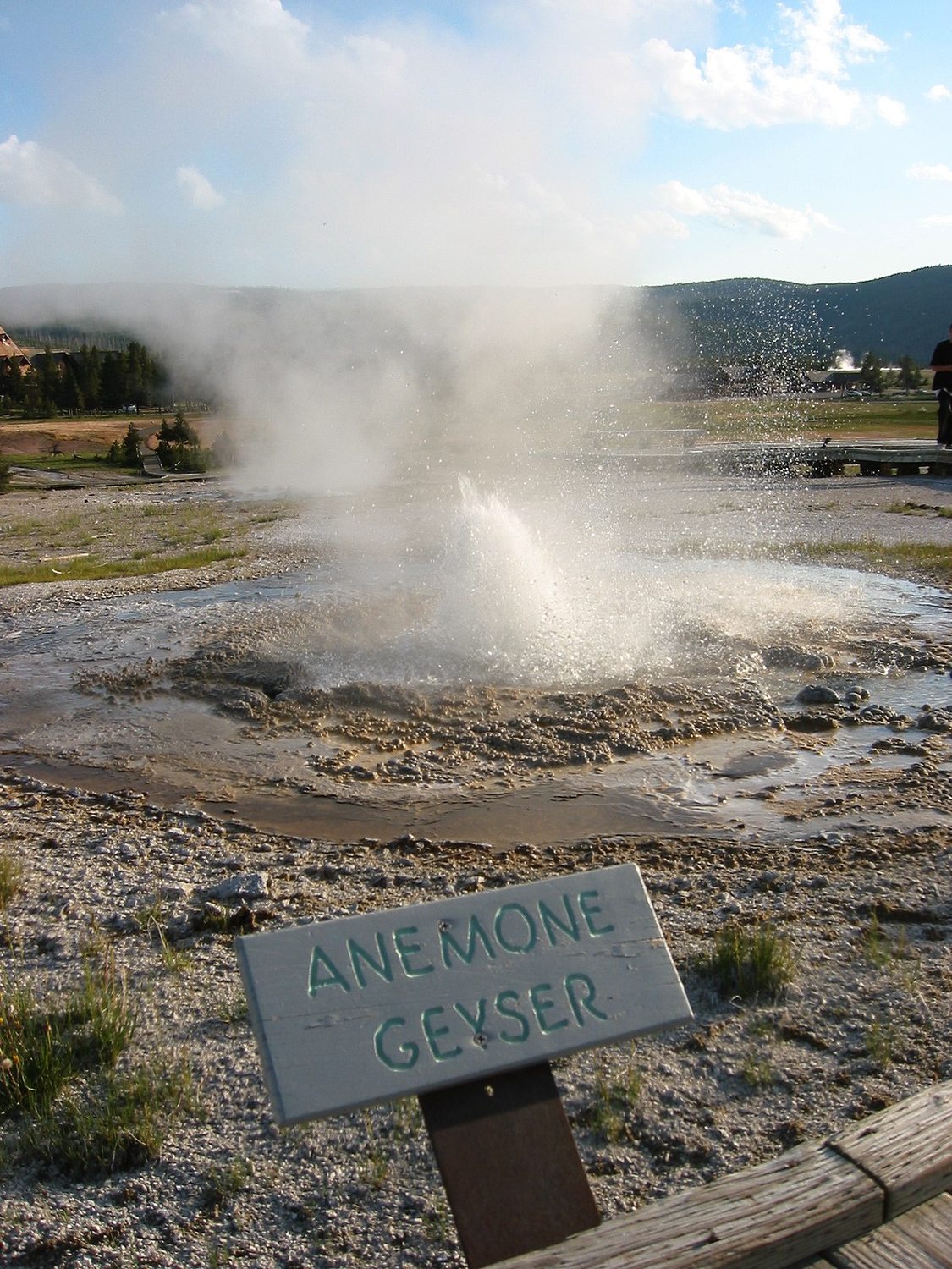 Anemone Geyser - Photo 1