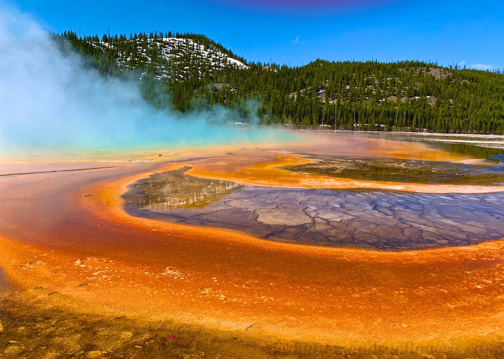 Surge Geyser - Photo 1
