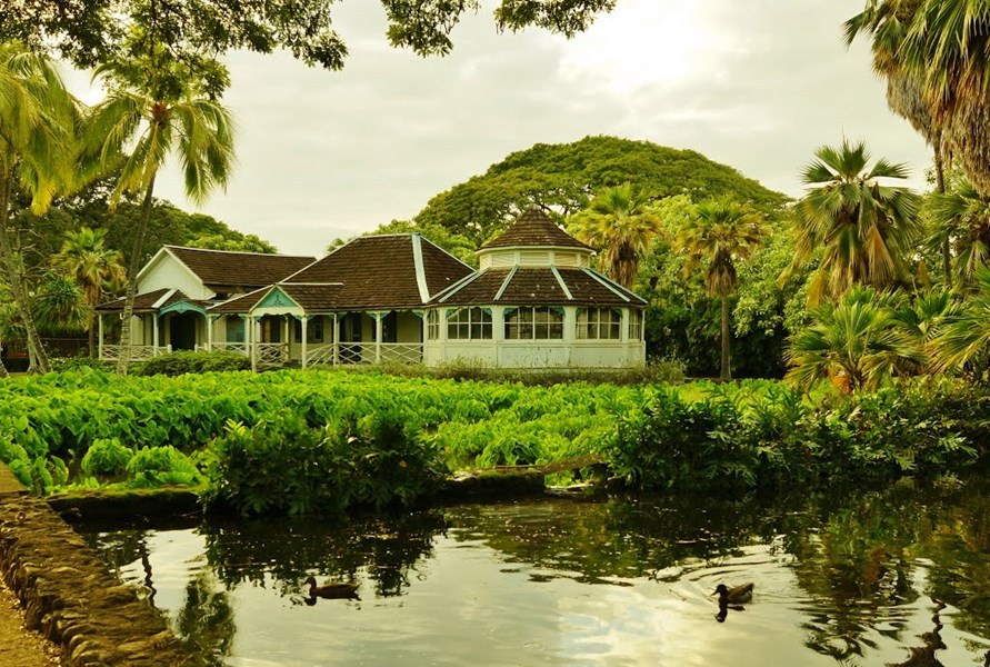 Moanalua Gardens - Photo 1