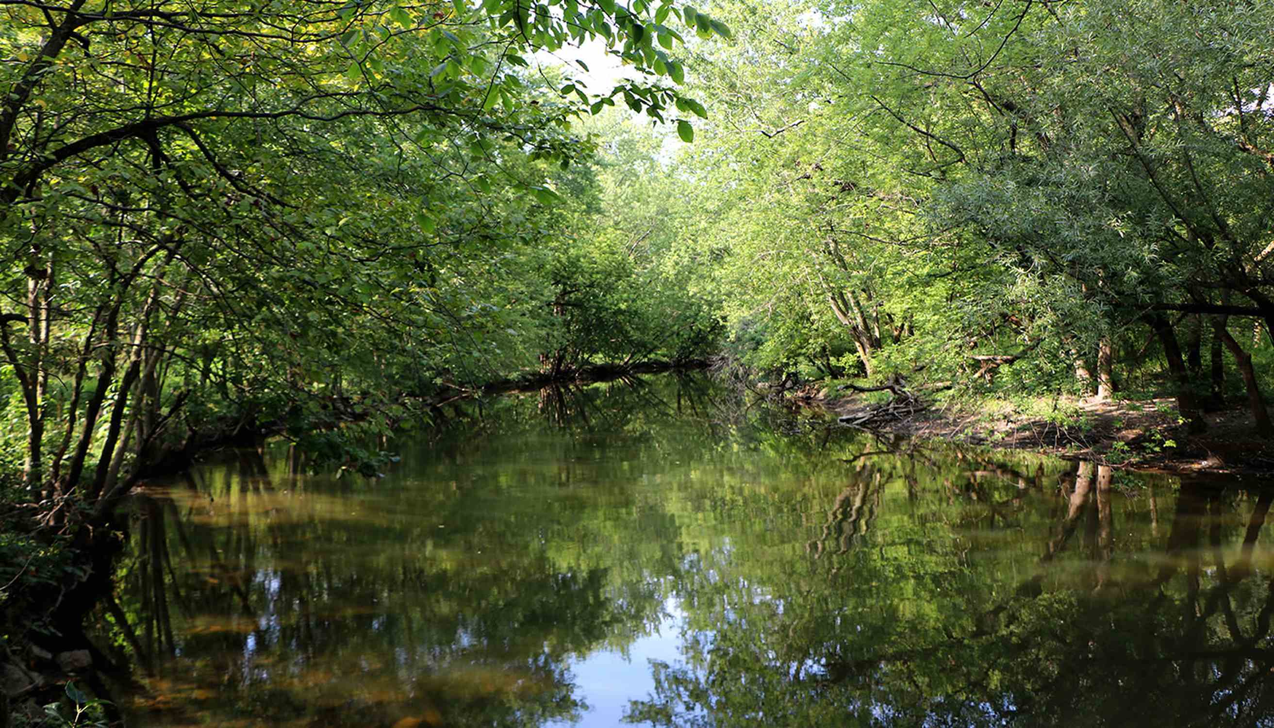 LaBagh Woods - Photo 1