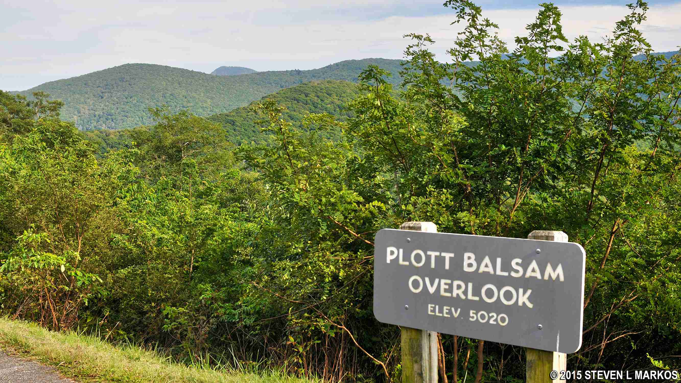 Plott Balsam Overlook (MP 457.9) - Photo 1