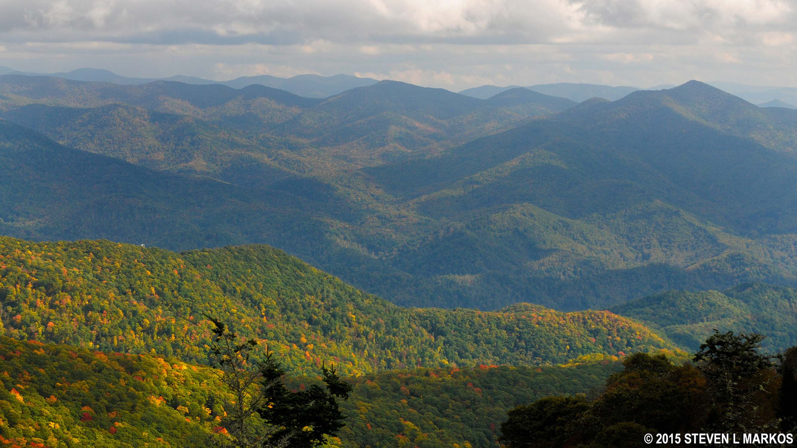 Browning Knob Overlook (MP 451.2) - Photo 1