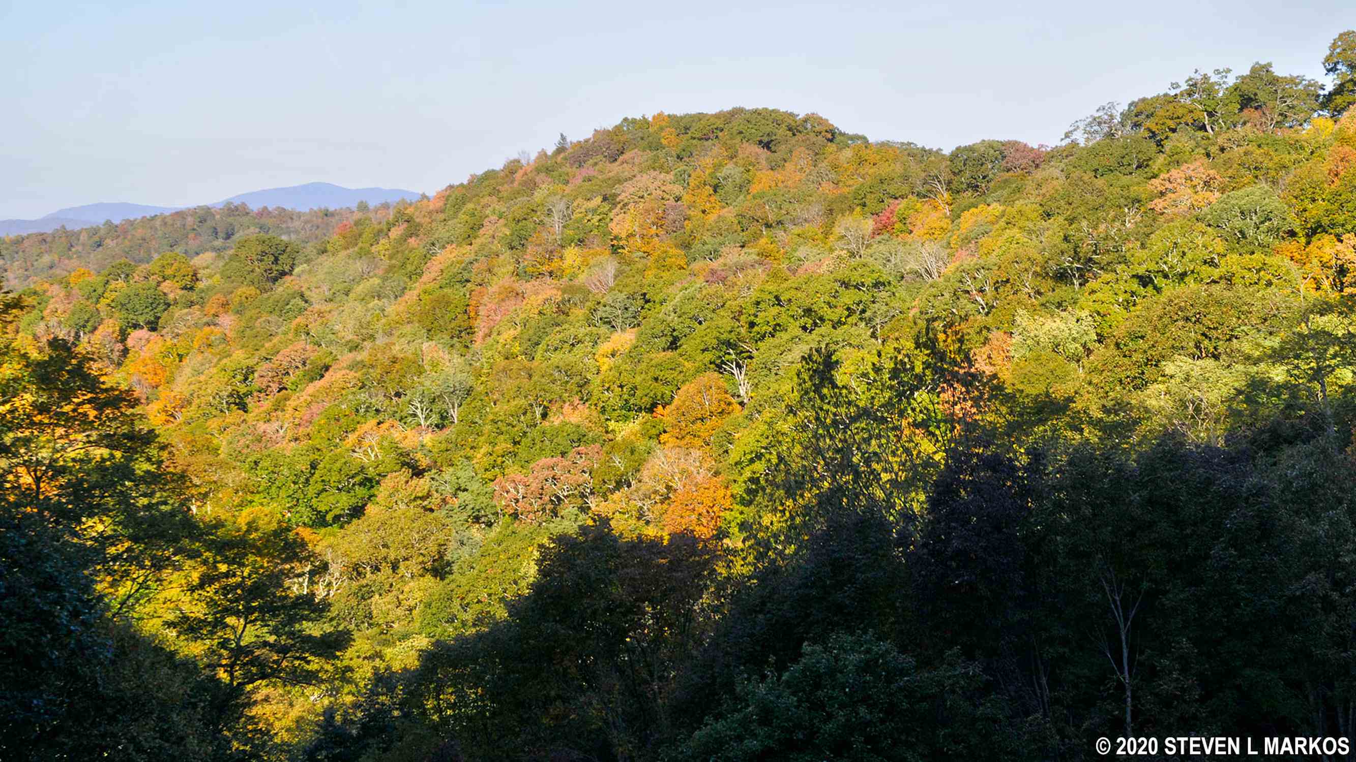 Jenkins Ridge Overlook (MP 460.8) - Photo 1