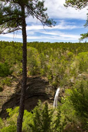 Cedar Falls Overlook - Photo 1