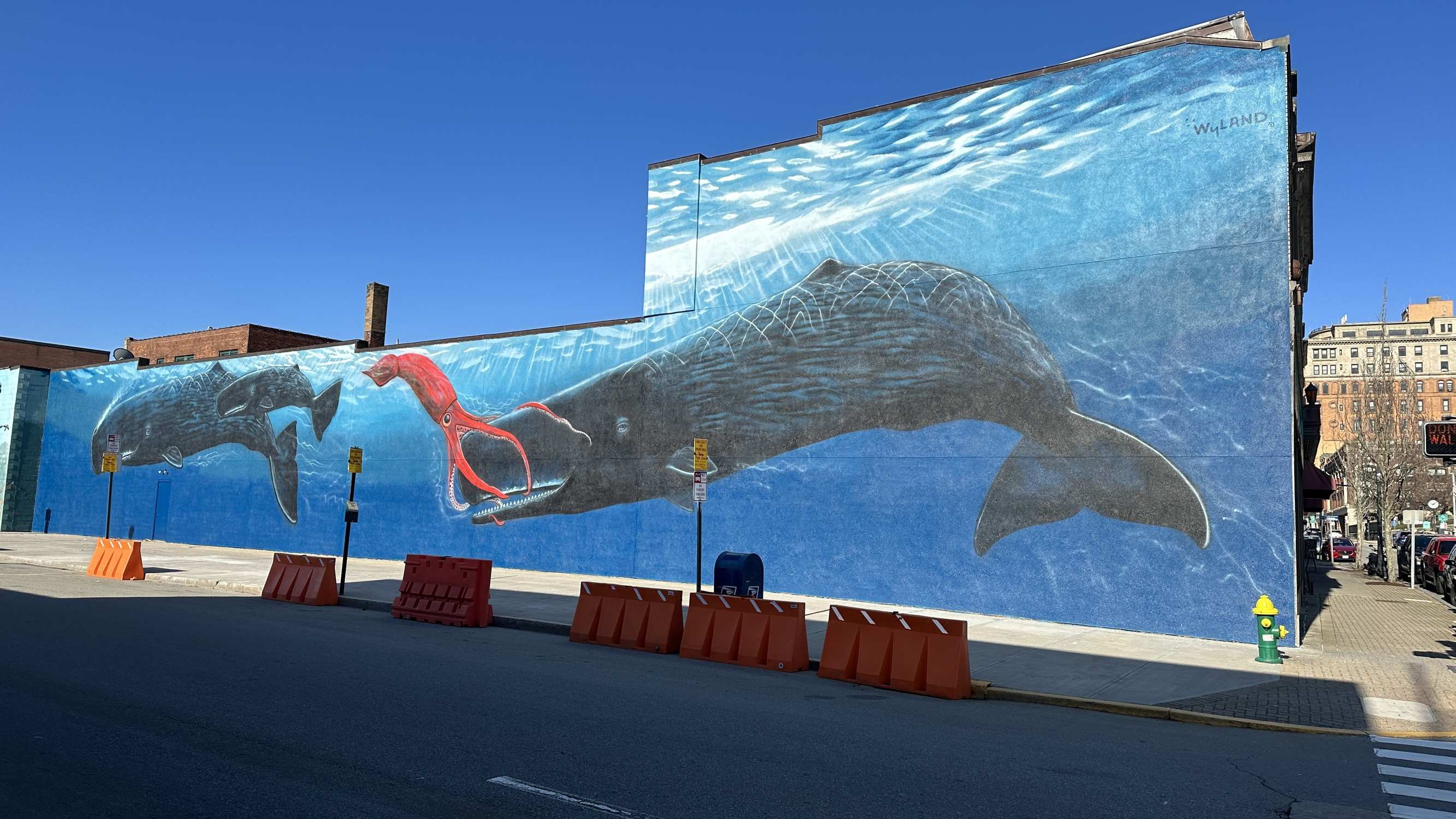 The Whale - Photo 1