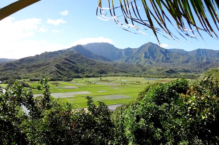 Hanalei Valley Lookout - Photo 1