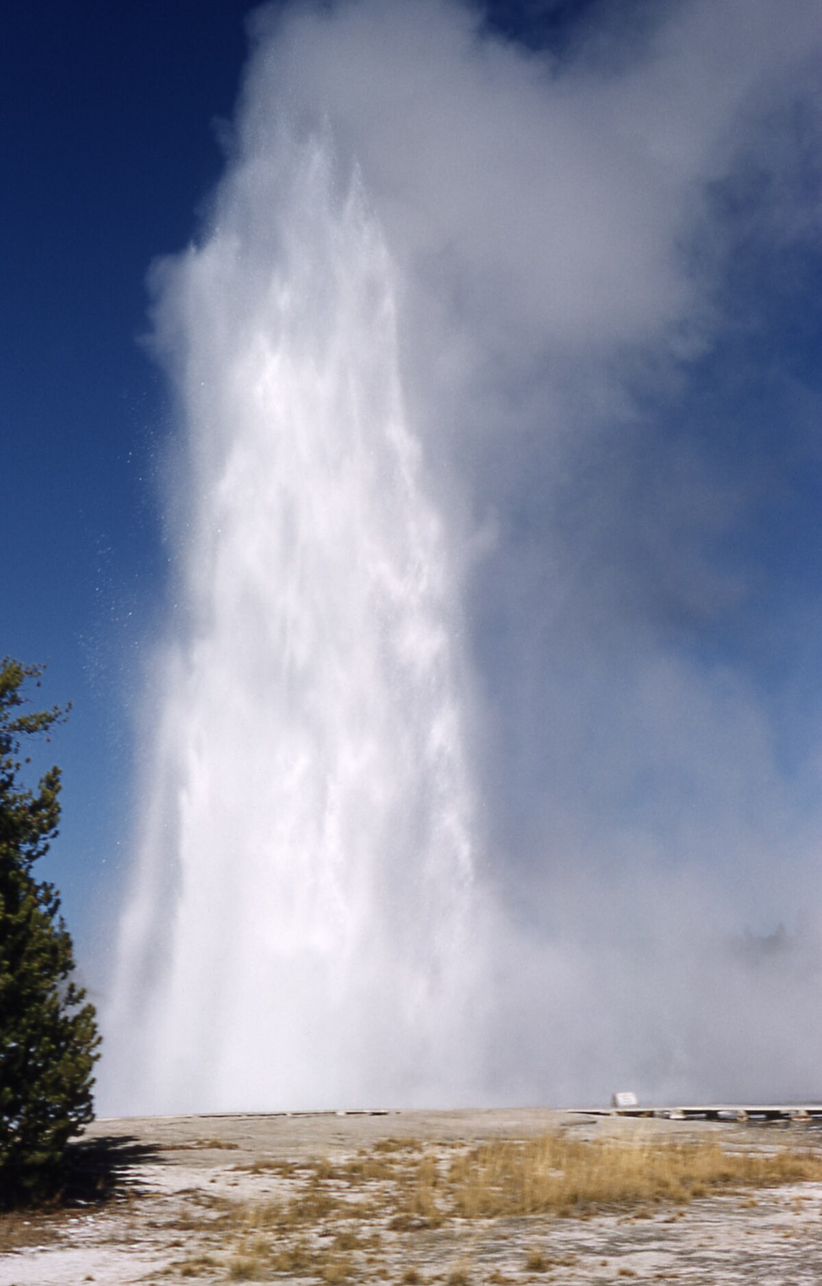 Splendid Geyser - Photo 1
