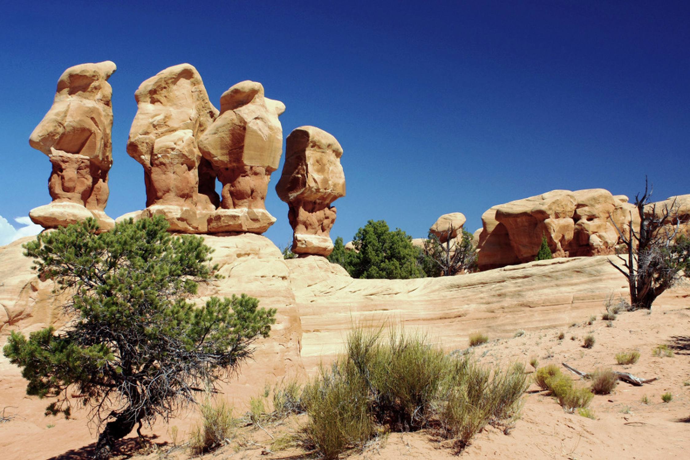 Four Hoodoos - Photo 1
