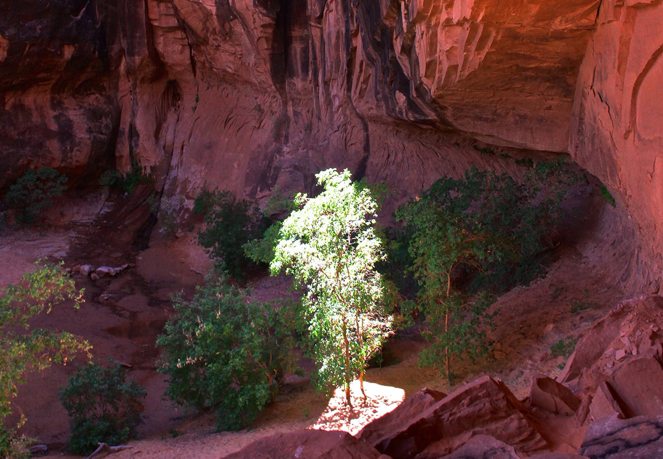 Grandstaff Canyon Trailhead - Photo 1