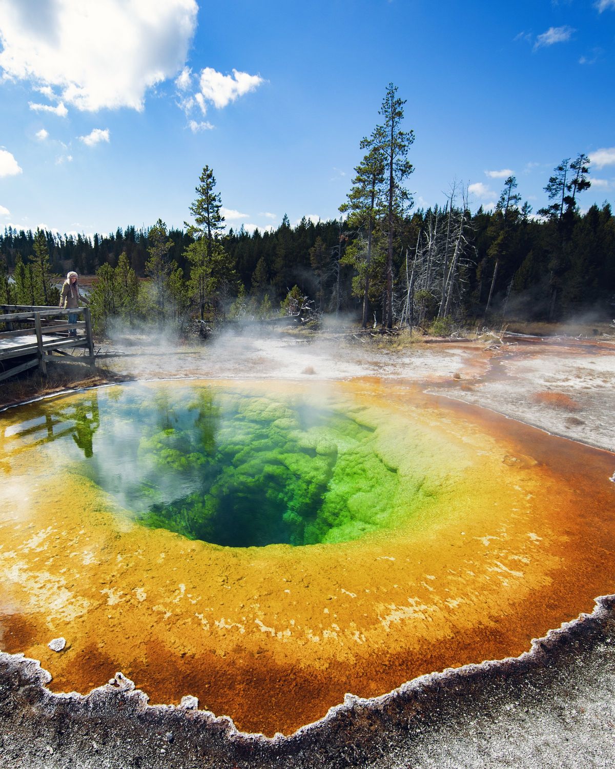 Upper Geyser Basin - Photo 1