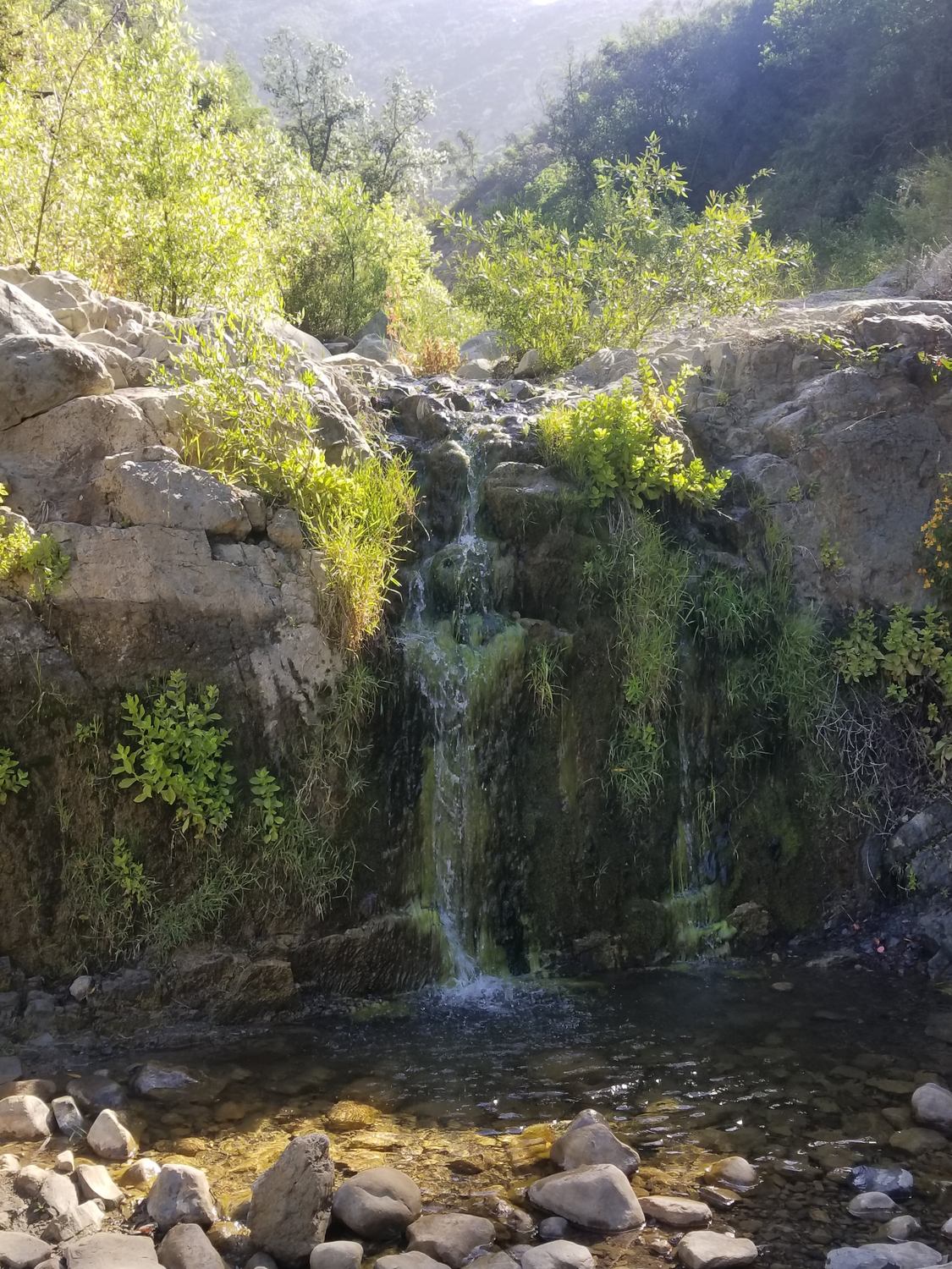 Cold Spring Trail - Photo 1