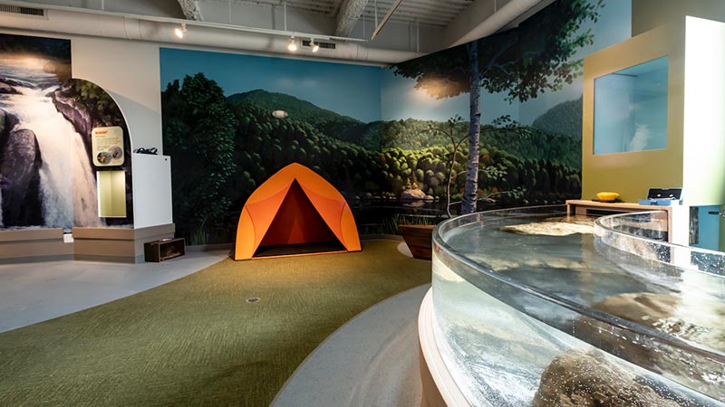 Maine Discovery Museum - Photo 1