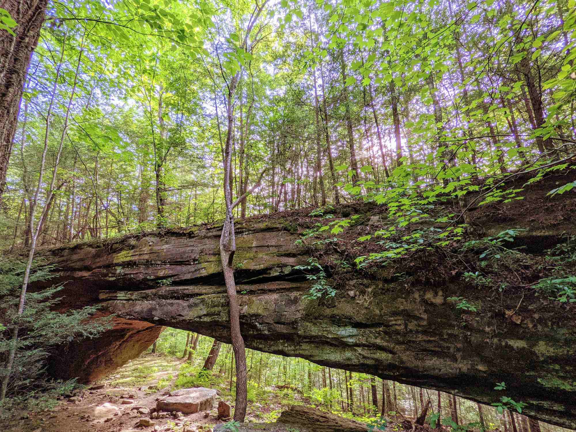 Koger Arch - Photo 1
