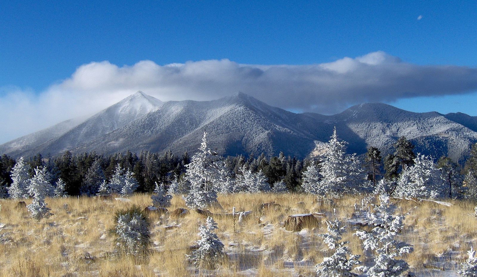 San Francisco Peaks - Photo 1
