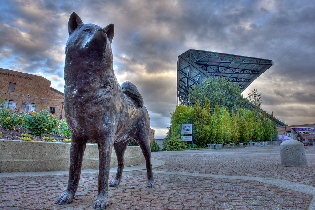 Husky Statue - Photo 1
