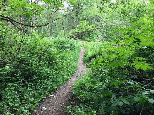 Sky Country Trailhead - Photo 1