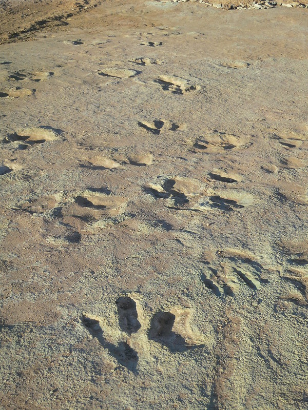 Mill Canyon Dinosaur Tracks Trailhead - Photo 1