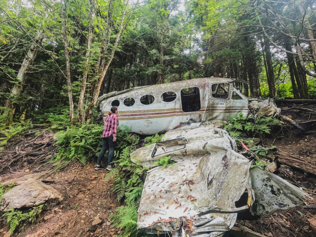 1983 Plane Crash Ruins - Photo 1