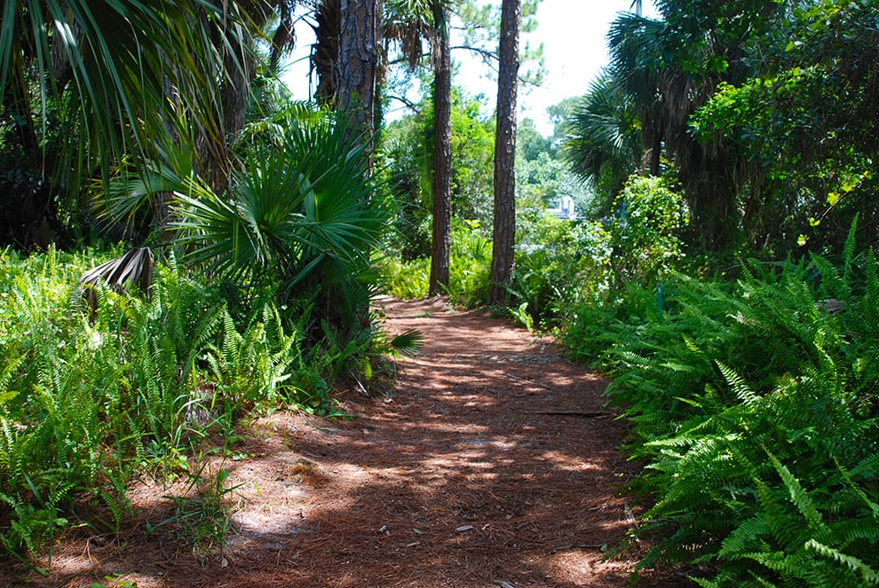 North Hiking Trail - Photo 1
