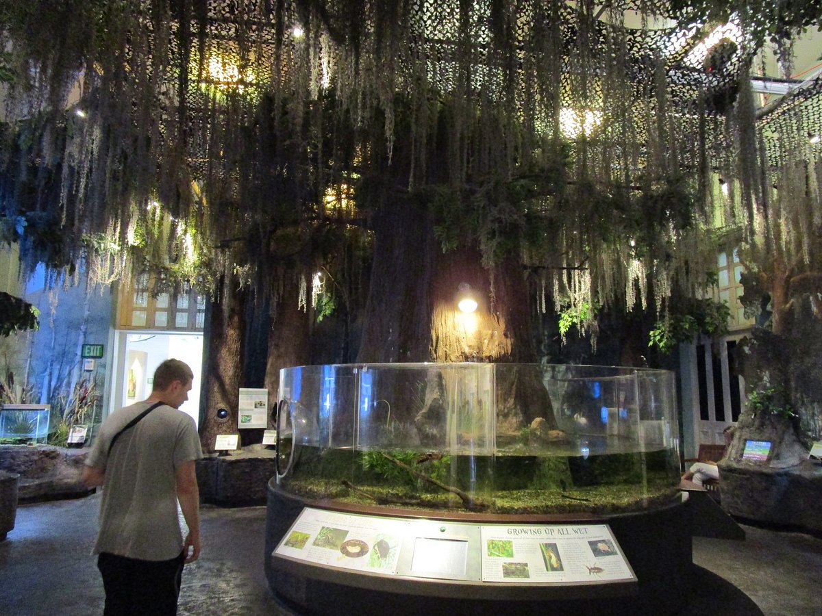 Audubon Insectarium - Photo 1