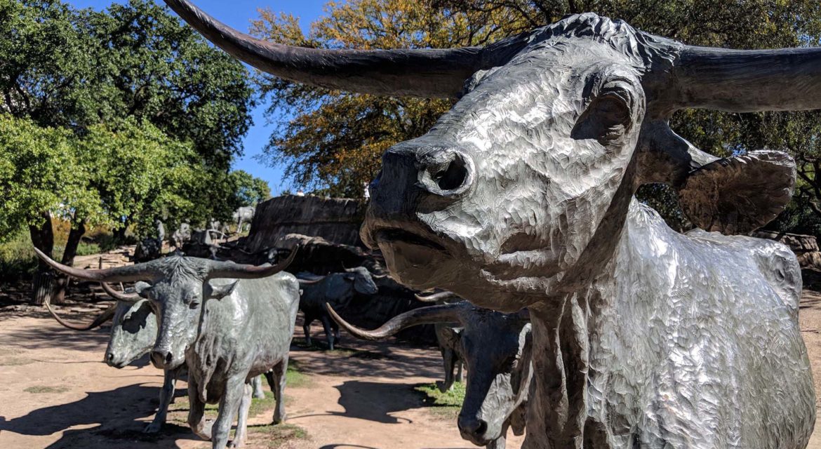 Cattle Drive - Photo 1
