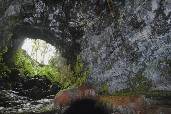 Kaumana Caves - Photo 1