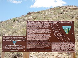 Paleozoic Trackways Site - Photo 1