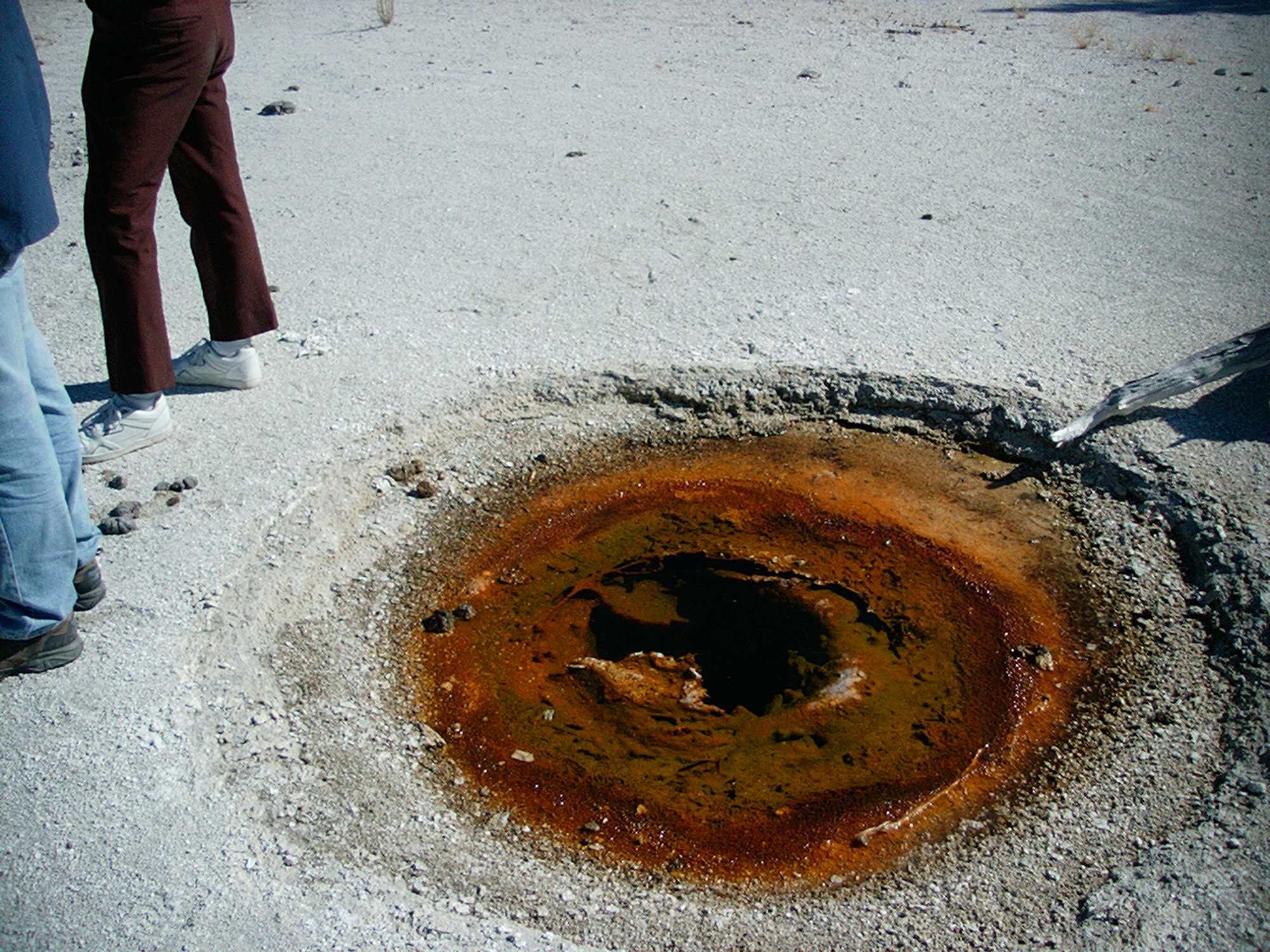 Baby Daisy Geyser - Photo 1