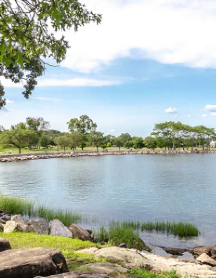 Cove Island Park - Photo 1