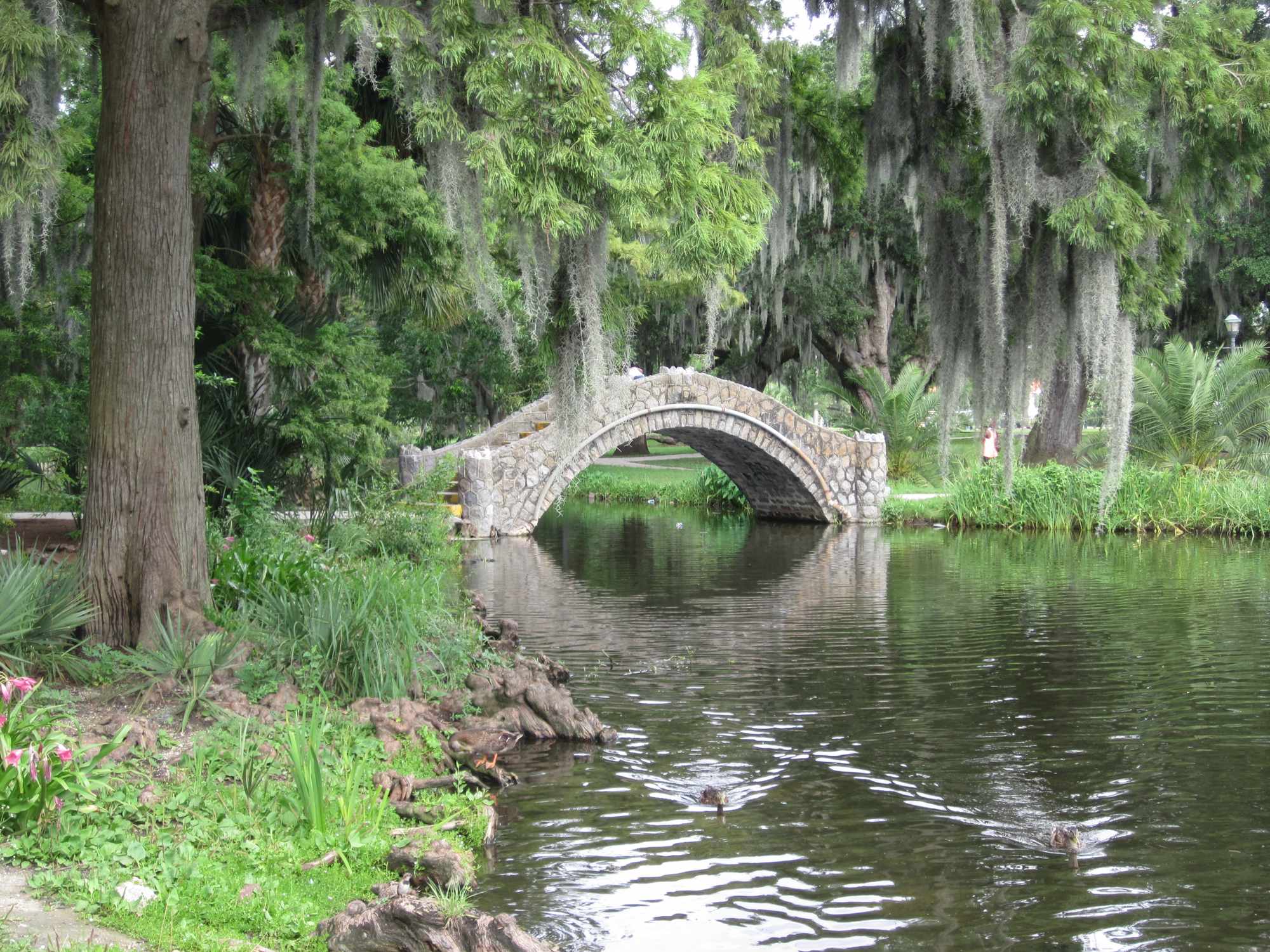 City Park - Photo 1