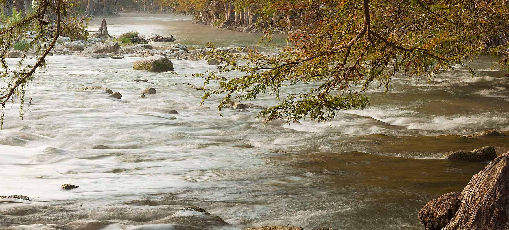 Guadalupe River State Park - Photo 1