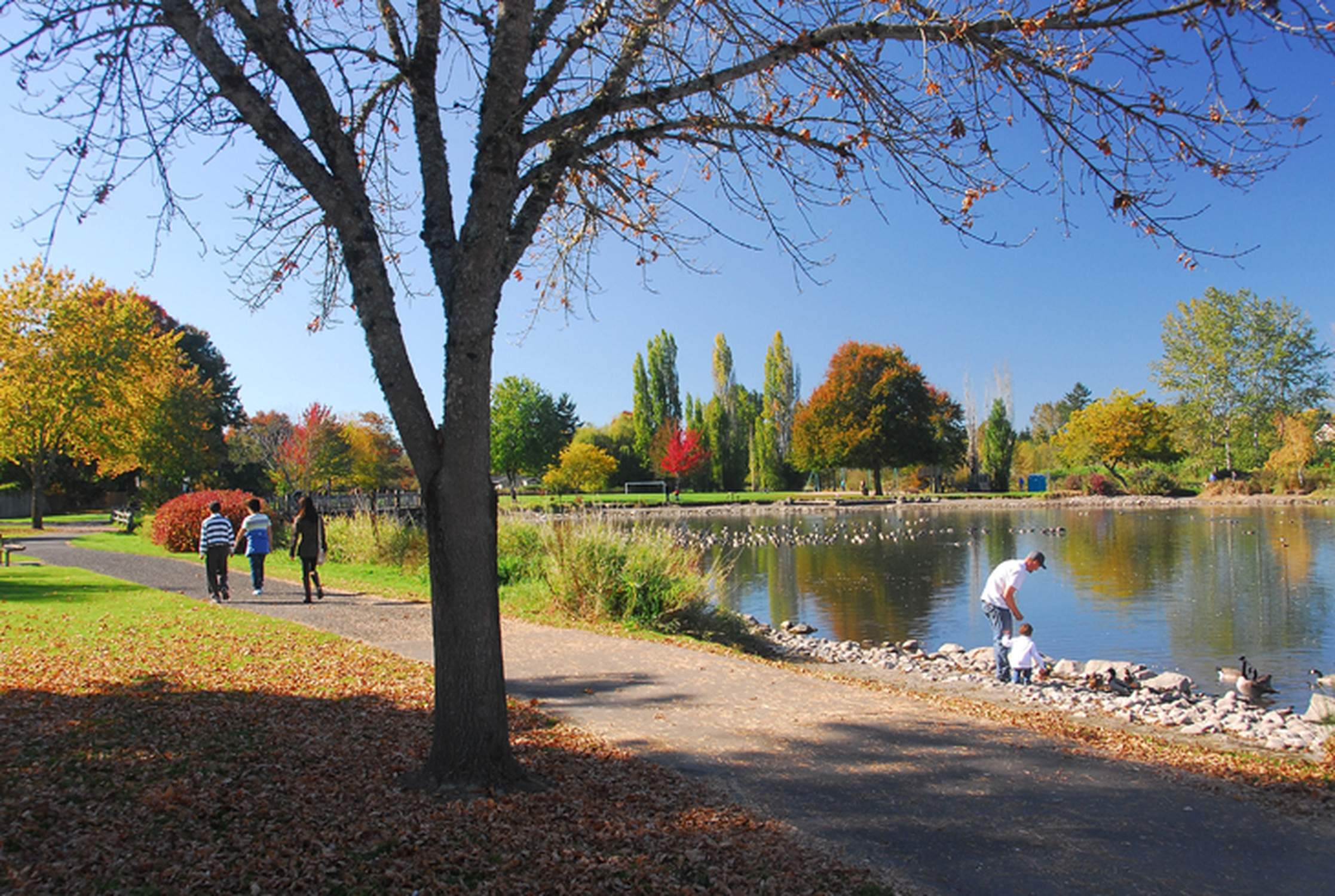 Beaverton City Park - Photo 1