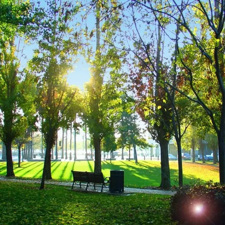 Guadalupe River Park - Photo 1