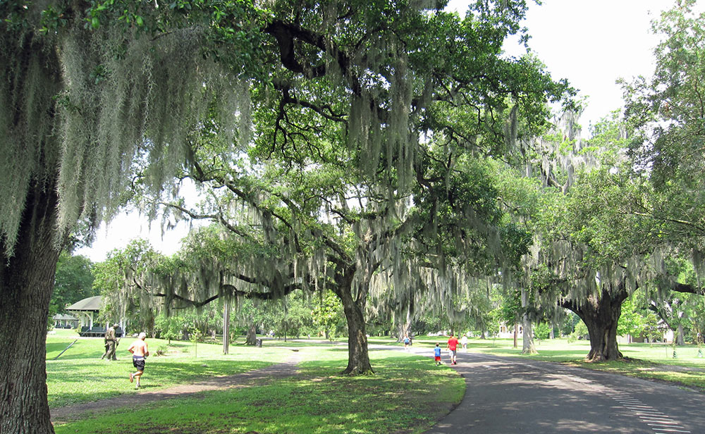 Audubon Riverview Park - Photo 1