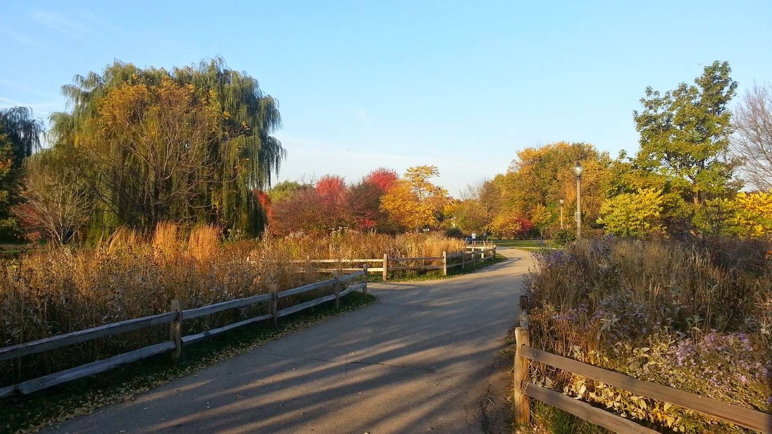 Winnemac Park - Photo 1