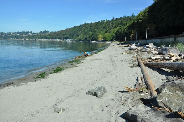 Ed Munro Seahurst Park - Photo 1