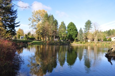 Meadowbrook Pond - Photo 1