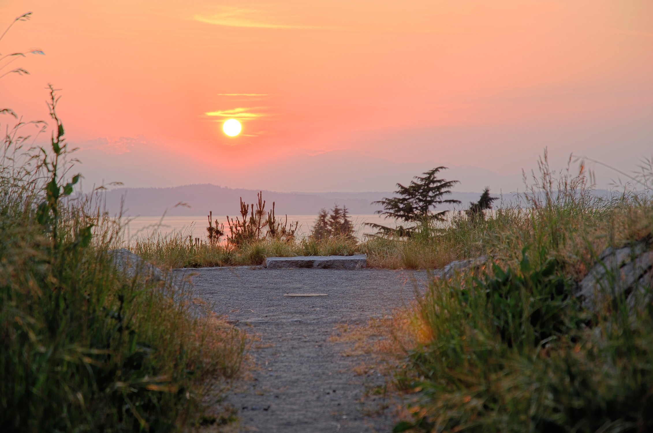 Solstice Park - Photo 1