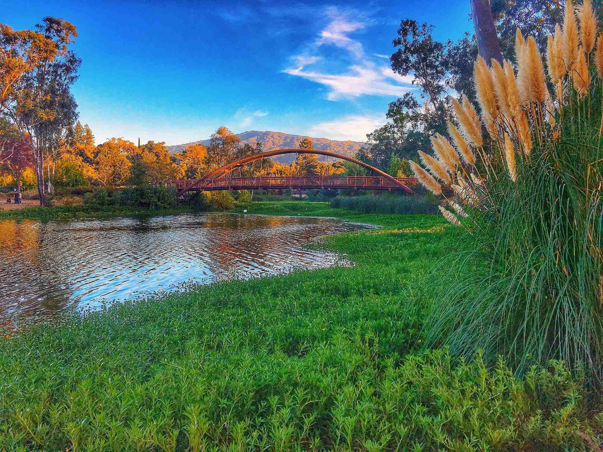 Vasona Lake County Park - Photo 1