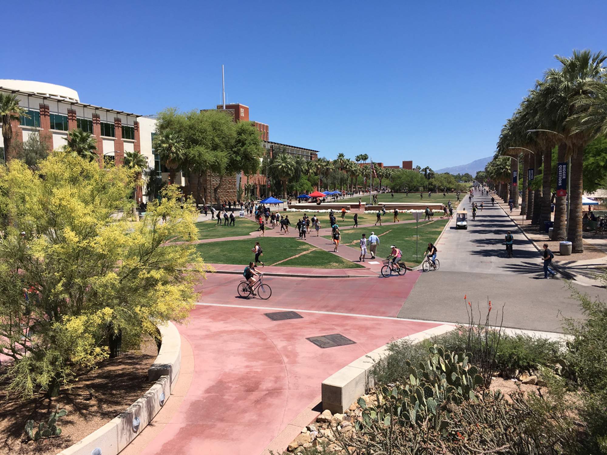 The Main Mall park at the University of Arizona - Photo 1