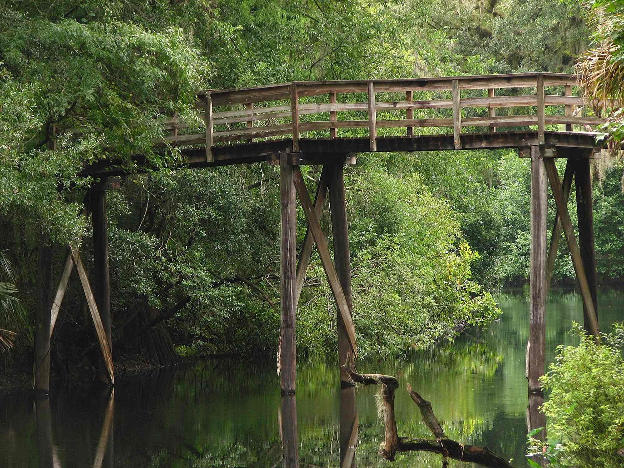 Hillsborough River State Park - Photo 1