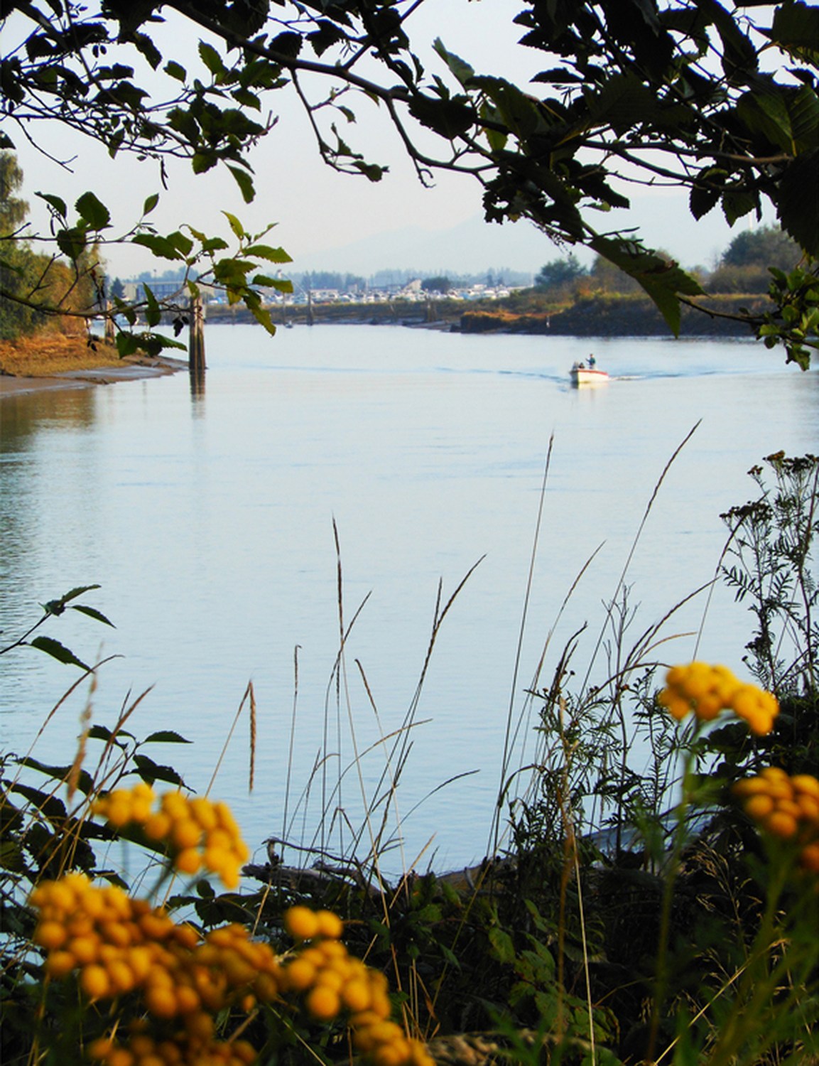 Langus Riverfront Park - Photo 1
