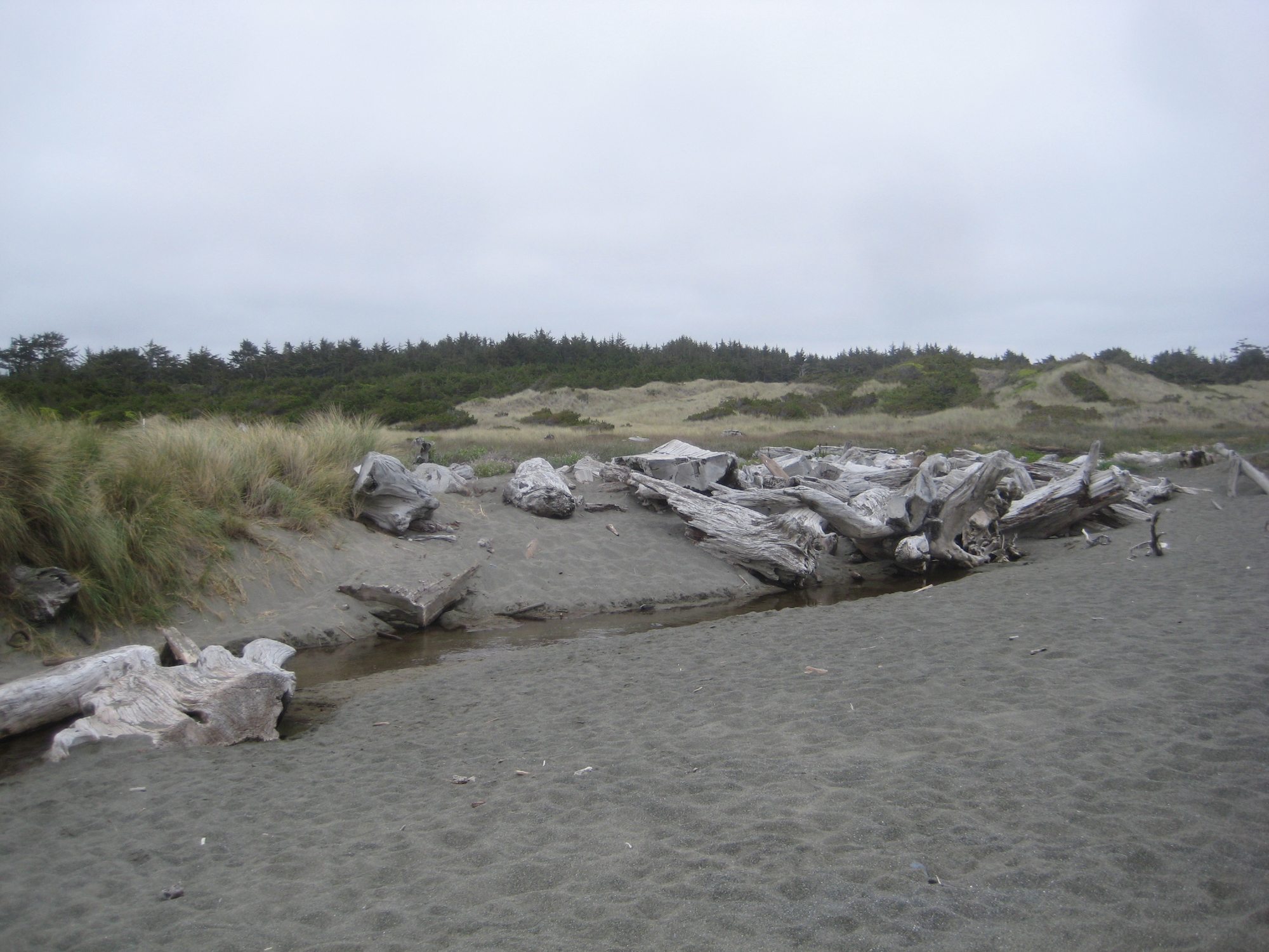 Tolowa Dunes State Park - Photo 1