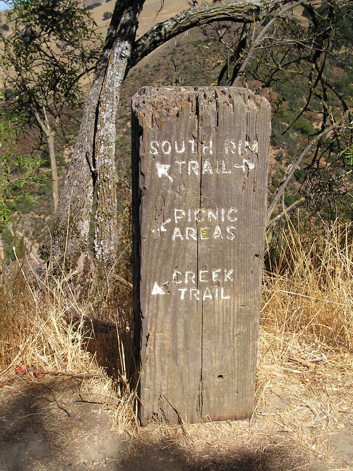 Alum Rock Park - Photo 1