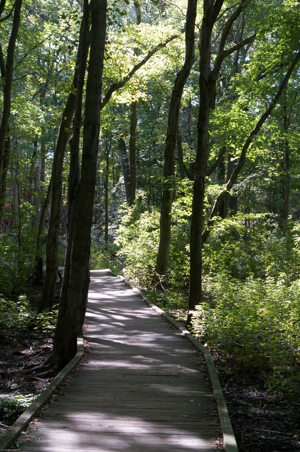 Veterans Park - Photo 1