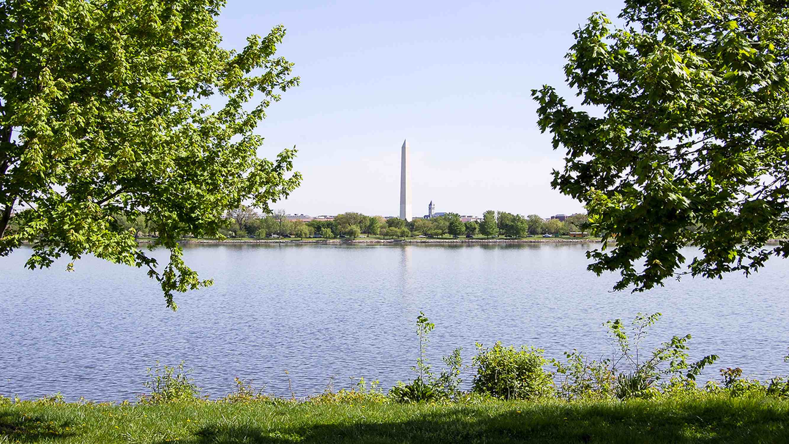 Lady Bird Johnson Park (Columbia Island) - Photo 1