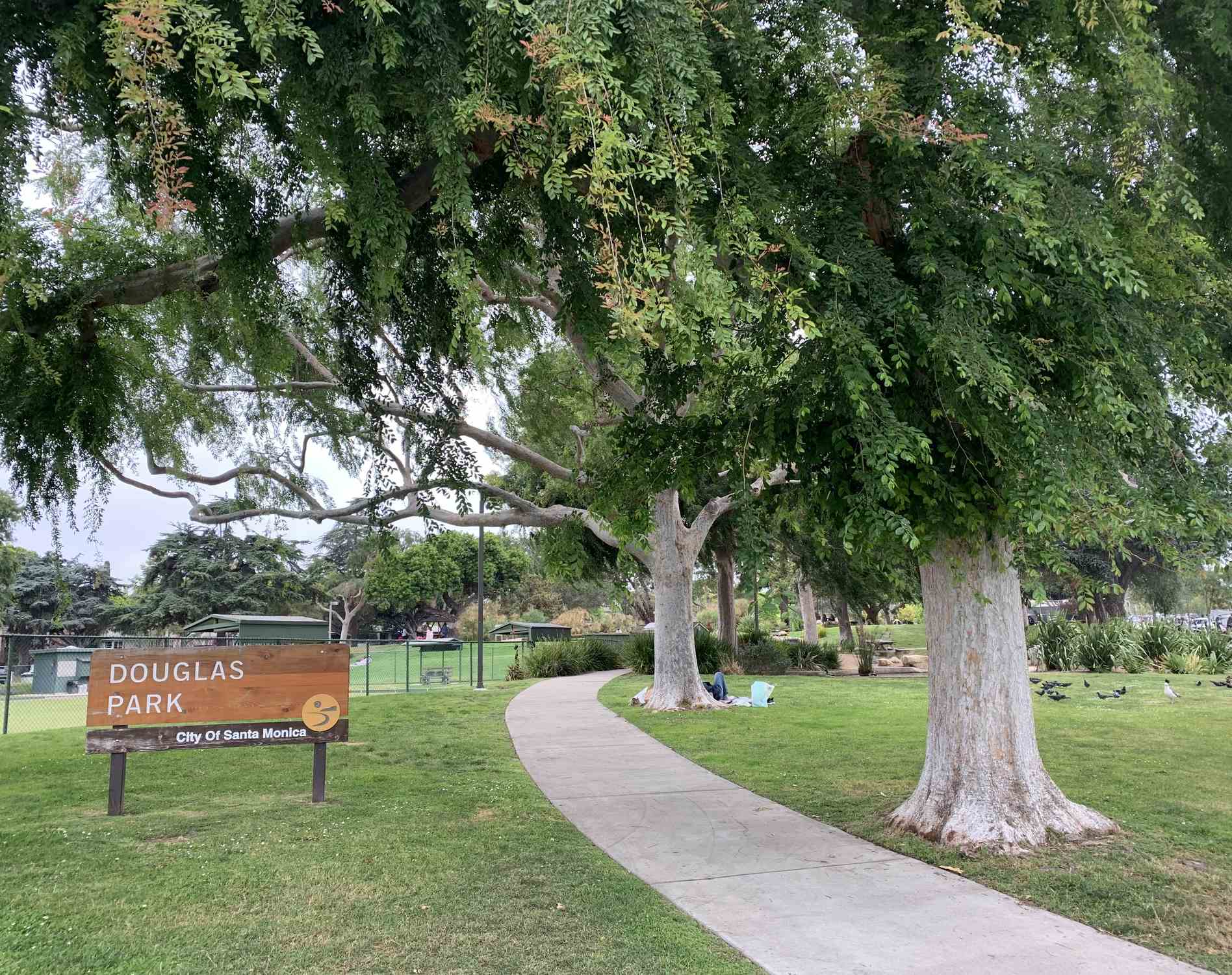 Douglas Park - Photo 1